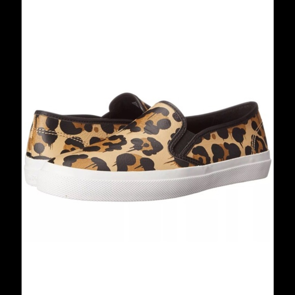 Coach Chrissy wild beast